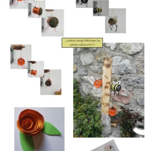 Insekten aus der 2a 19/20