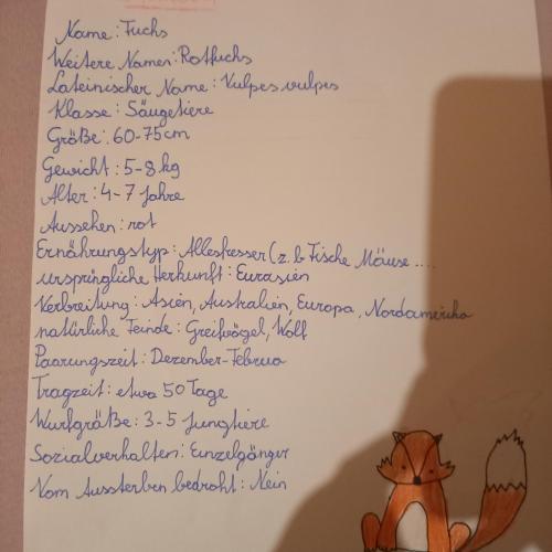 Biologie: Steckbrief eines Säugetieres 20_21