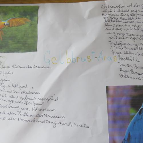 Biologie: Steckbrief eines Säugetieres 20_21