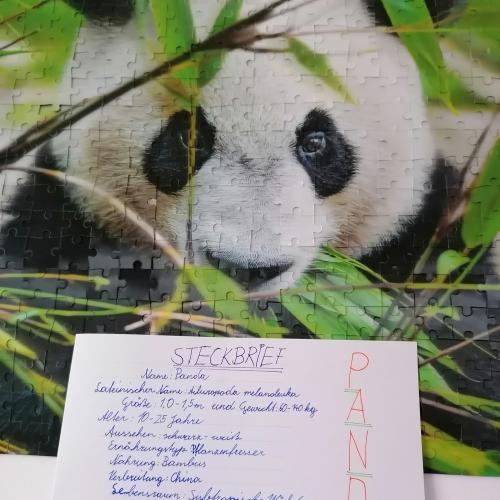 Biologie: Steckbrief eines Säugetieres 20_21