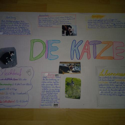 Biologie: Steckbrief eines Säugetieres 20_21