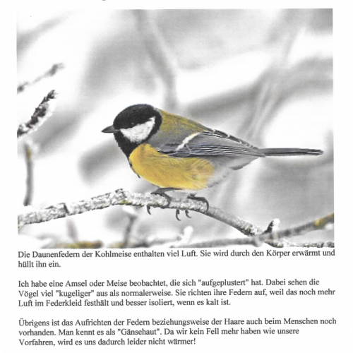 20/21 Wärmelehre 3b