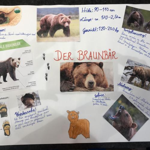 Biologie: Steckbrief eines Säugetieres 20_21