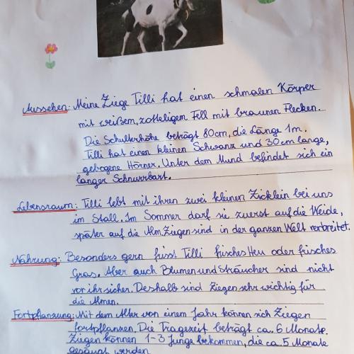 Biologie: Steckbrief eines Säugetieres 20_21