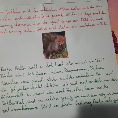 Biologie: Steckbrief eines Säugetieres 20_21