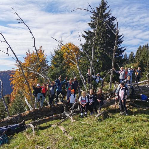 Kinder stehen auf einem liegenden brachen Baum