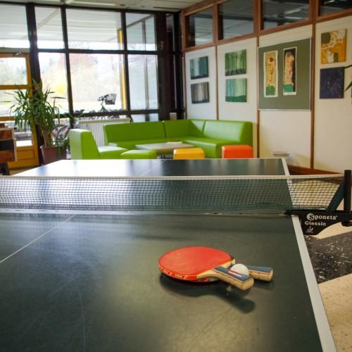 Blick über den Tischtennistisch