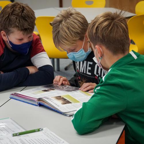 Schüler sehen sich interessiert ein Fachbuch an