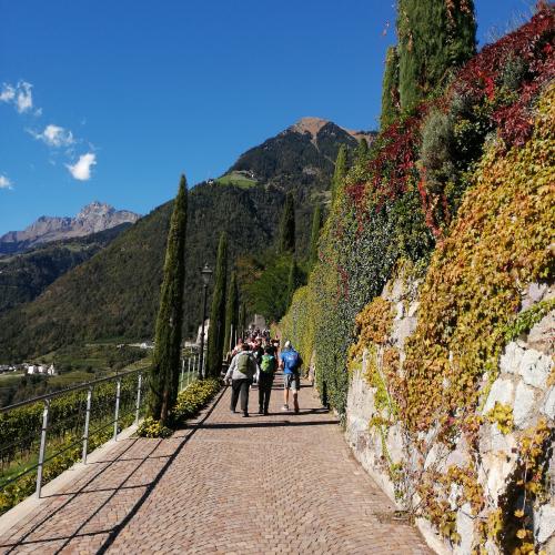 Blick auf die Obstgärten in Südtirol