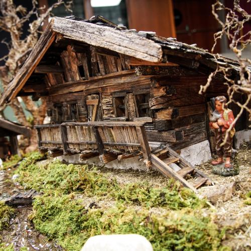 Holzkrippe mit Moos und Bäumen