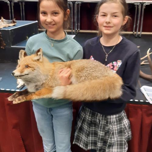 Schülerinnen mit ausgestopften Fuchs