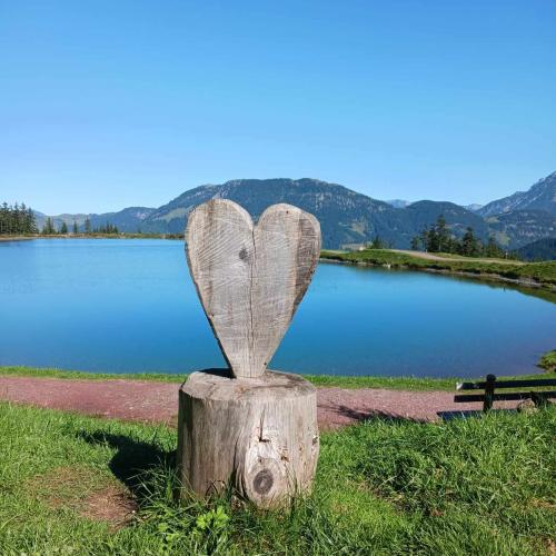 Herz aus Holz und Bergsee