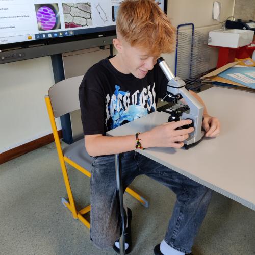 Schüler:in beim Mikroskopieren