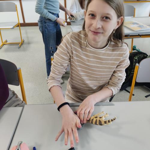 Schüler:innen mit Fossilien