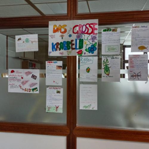 Das große Krabbeln