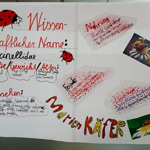 Plakate