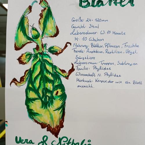 Plakate