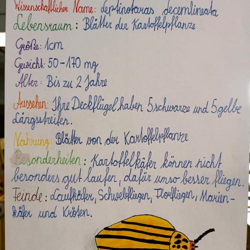 Plakate