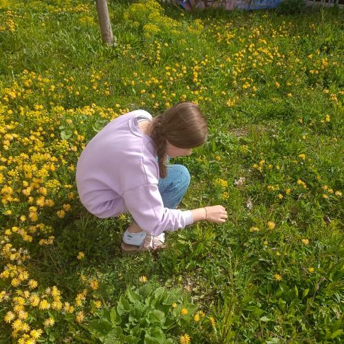 Entlassen in die freie Natur