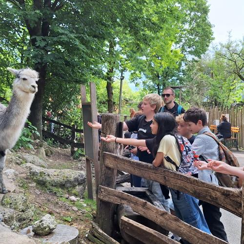 Schüler:innen im Zoo