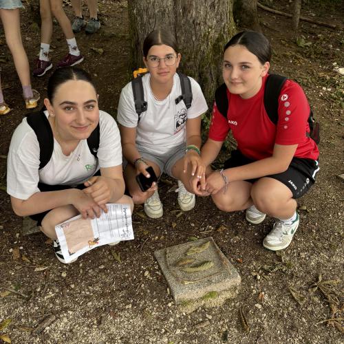 Schüler beim Legen eines Waldmandalas