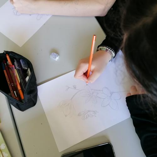 4c Kunstprojekte