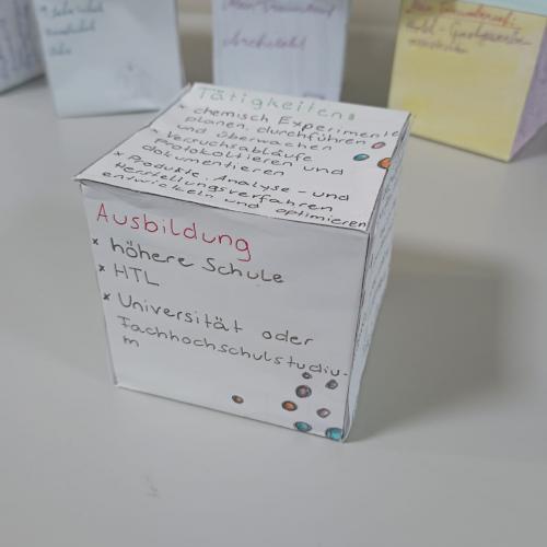 Einzelansicht Berufswahlwürfel