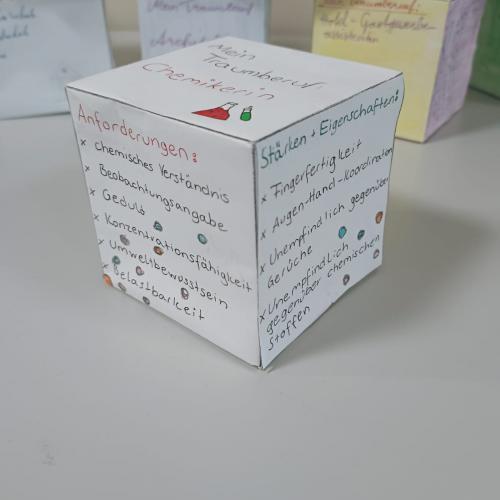 Einzelansicht Berufswahlwürfel