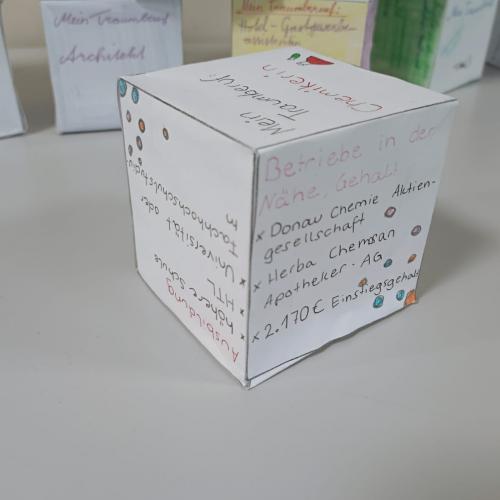 Einzelansicht Berufswahlwürfel