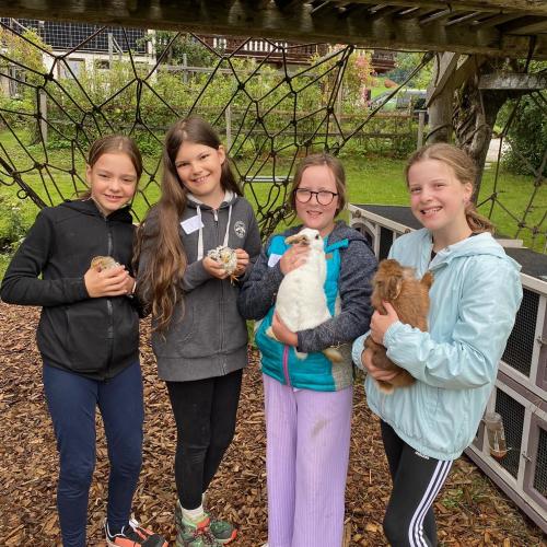 Schüler:innen am Bauernhof