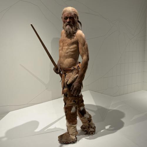 Ötzi - der Mann aus dem Eis