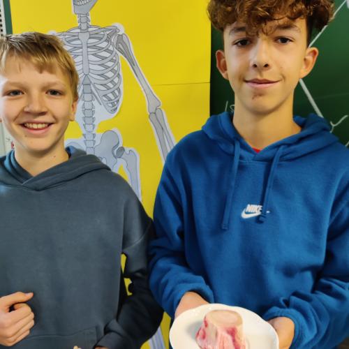 Schüler mit Knochen