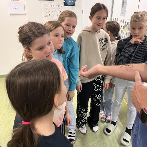 Schüler:innen beim Experimentieren 