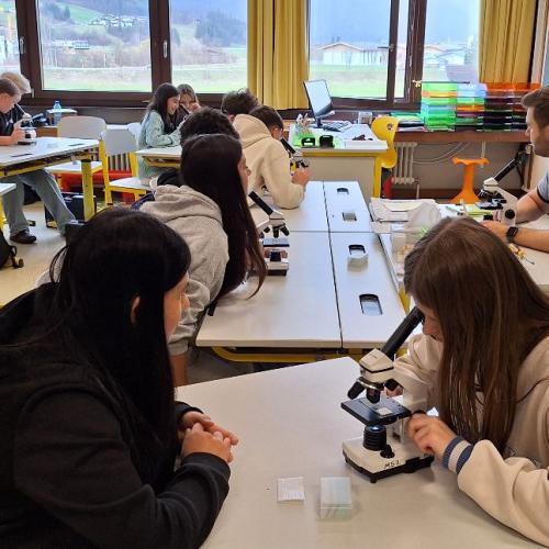 Schüler:innen beim Mikroskopieren