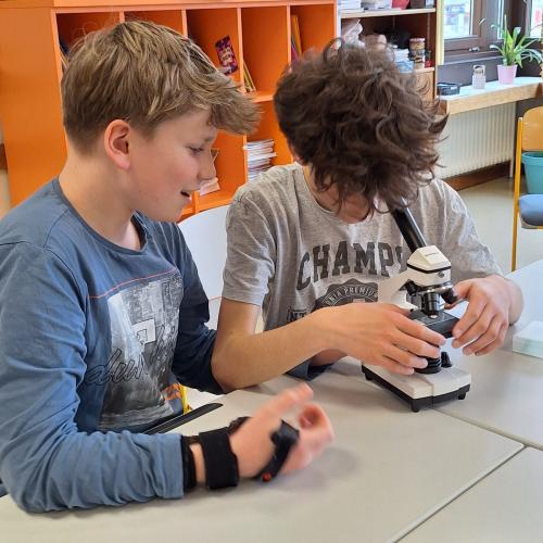 Schüler:innen beim Mikroskopieren
