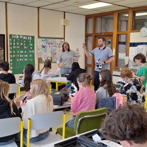 Schüler:innen beim Mikroskopieren