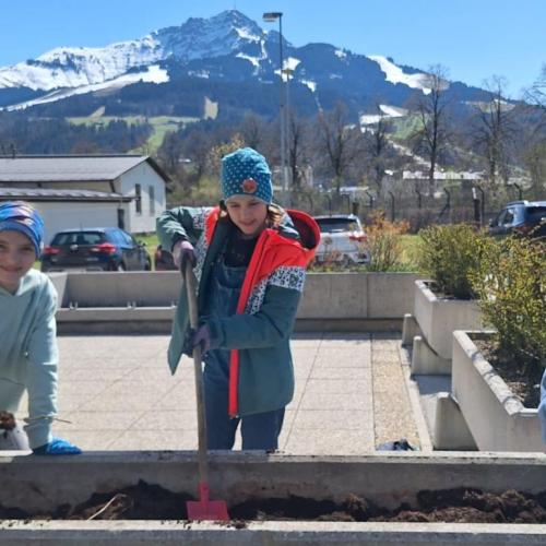 Schüler:innen beim Vorbereiten und Befüllen der Hochbeete