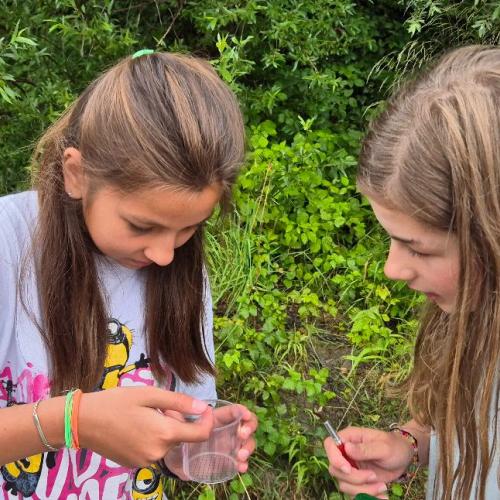 Schüler:innen sezieren Fische