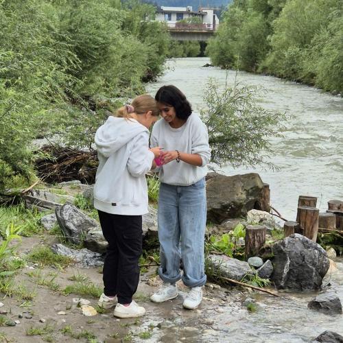 Schüler:innen sezieren Fische
