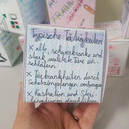 Berufs-Würfel