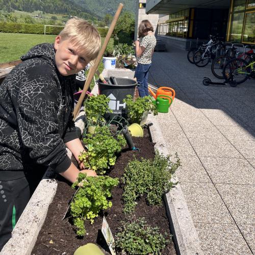 Schüler:innen bei der Bepflanzung des Schulgartens