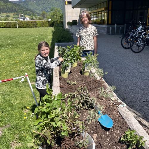 Schüler:innen bei der Bepflanzung des Schulgartens