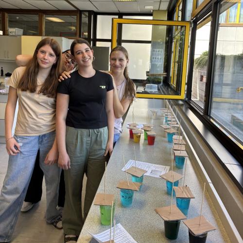 Schüler:innen bei der Vorbereitung der Kristalle