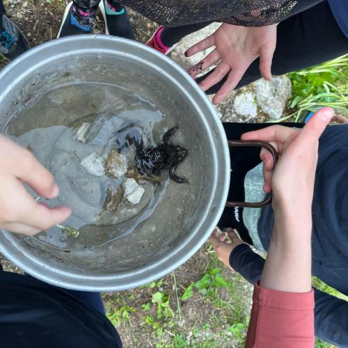 Schüler:innen in Brandenberg