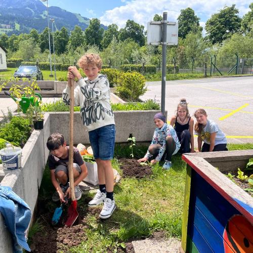 Schüler:innen arbeiten im Schulgarten