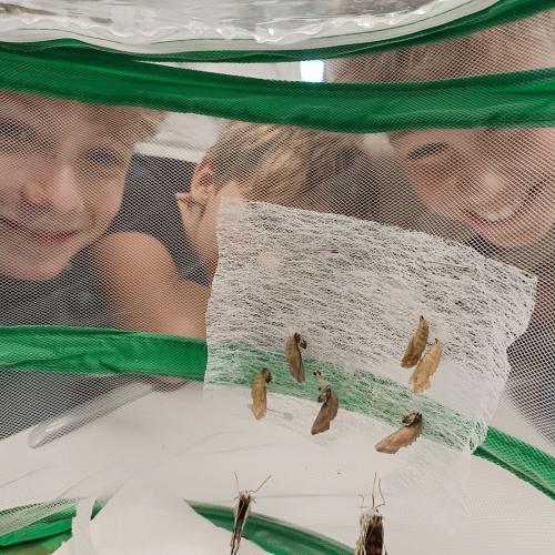 Schüler:innen beim Beobachten