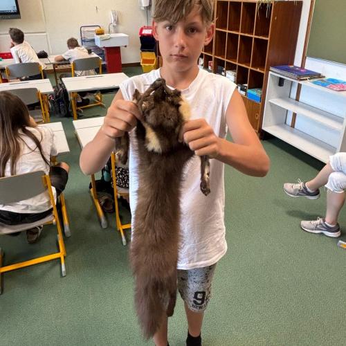Schüler beim Forschertag