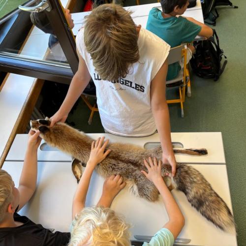 Schüler beim Forschertag
