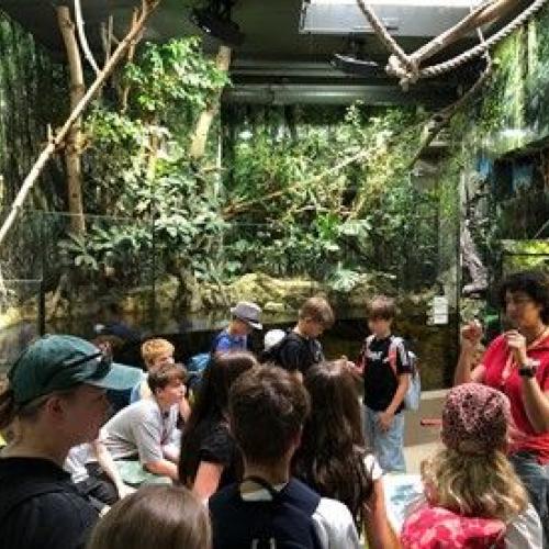 Schüler:innen im Zoo