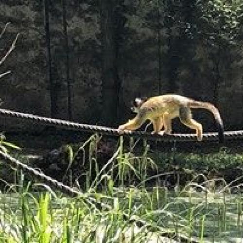 Zoo Salzburg